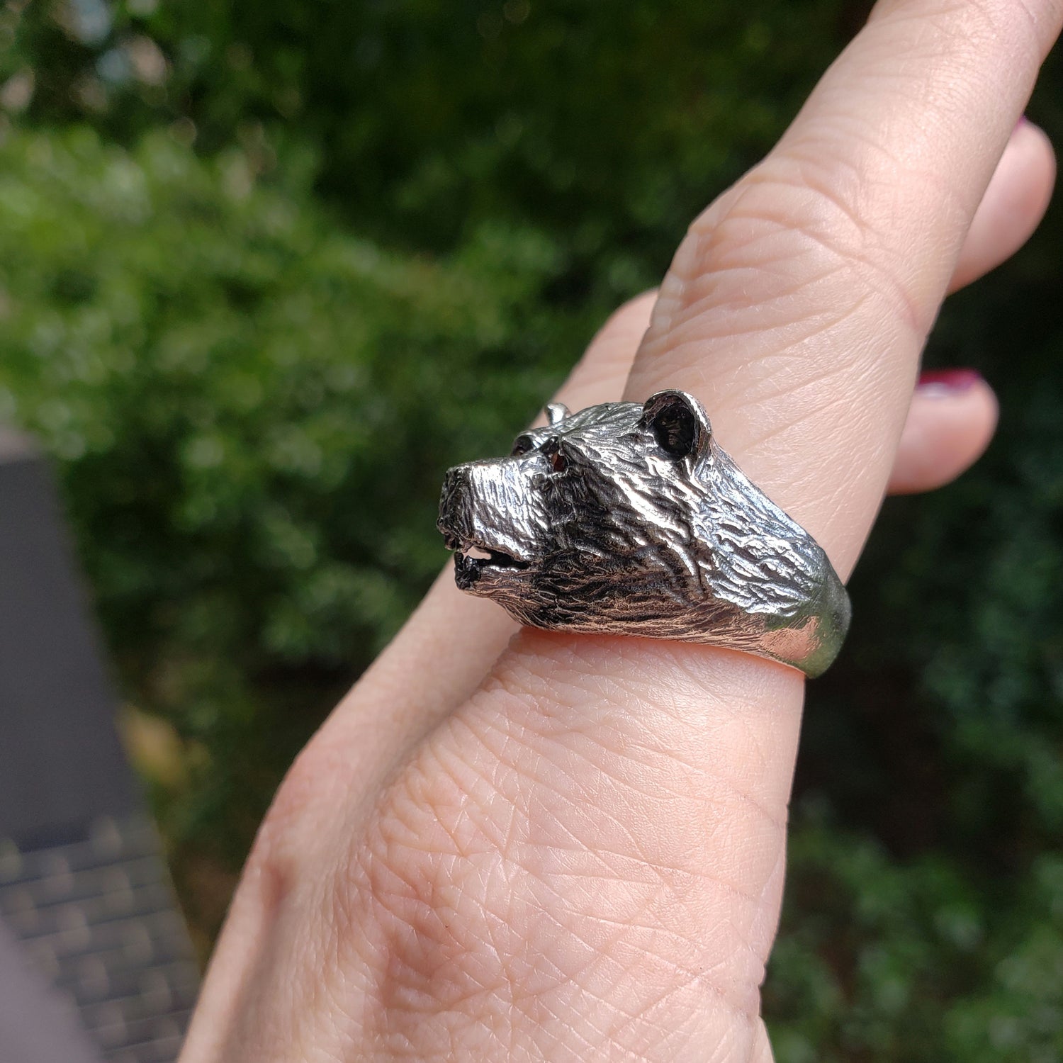 The Bear Ring