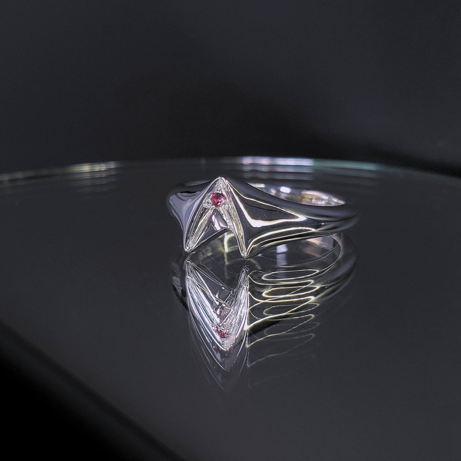 Frontier Signet Ring