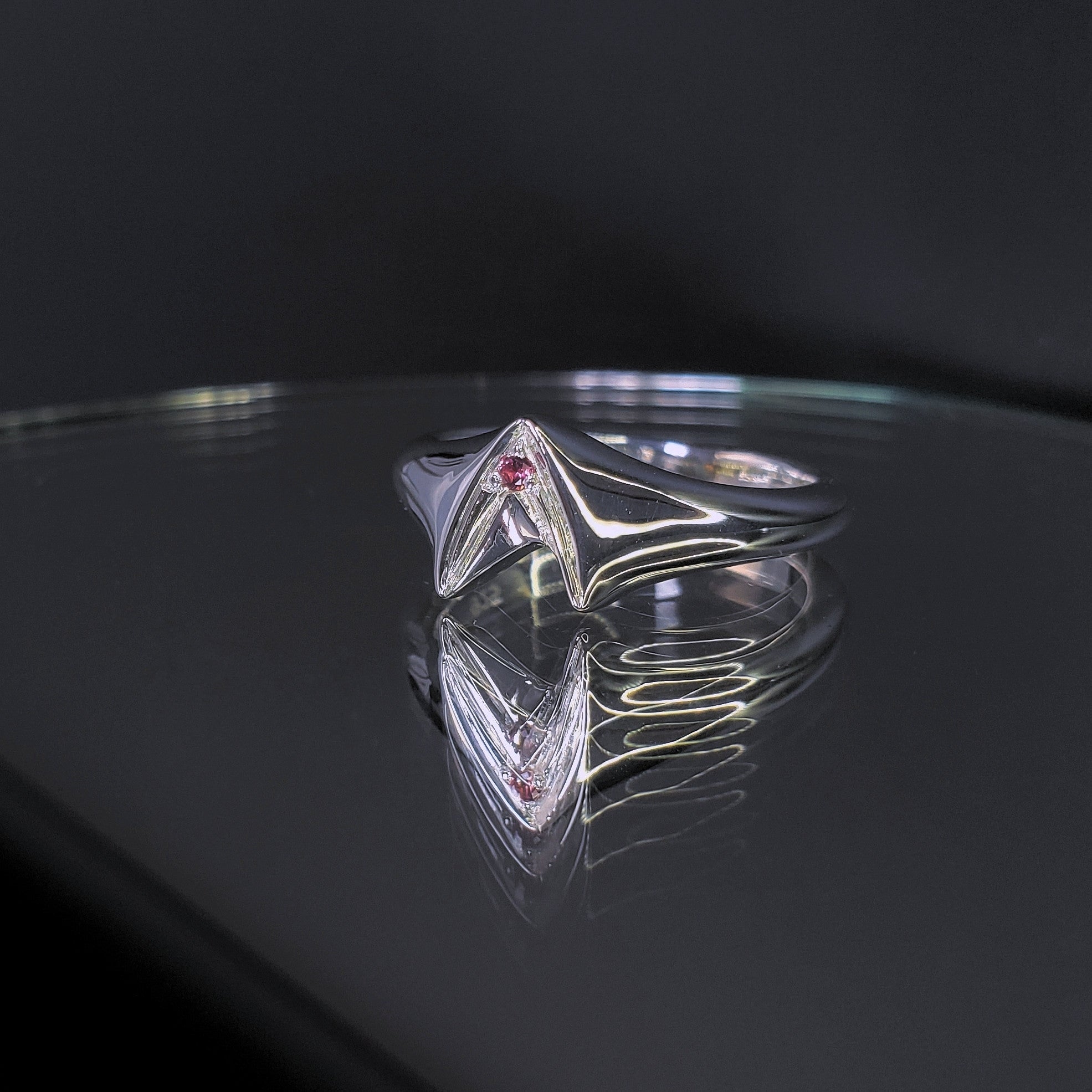Frontier Signet Ring