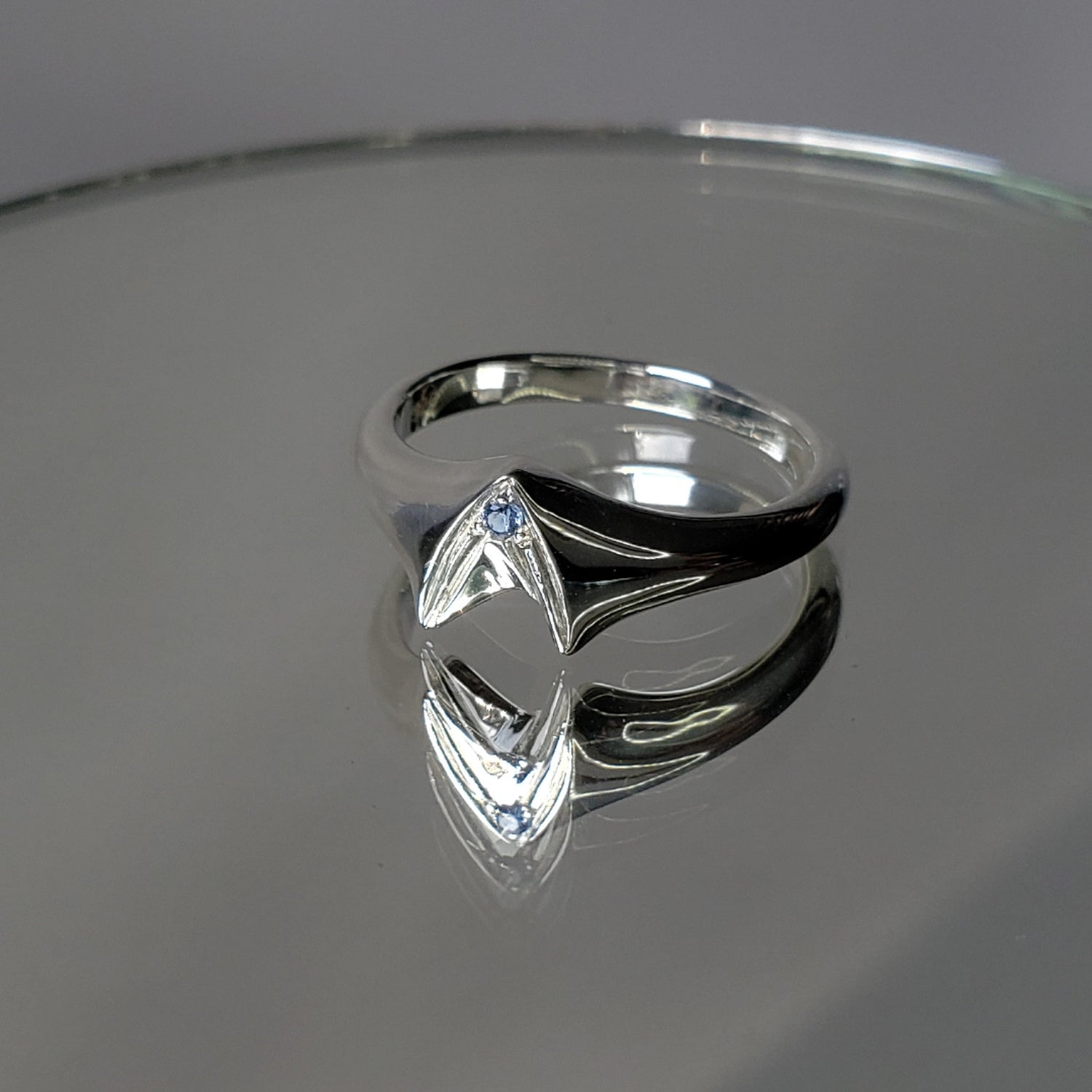 Frontier Signet Ring
