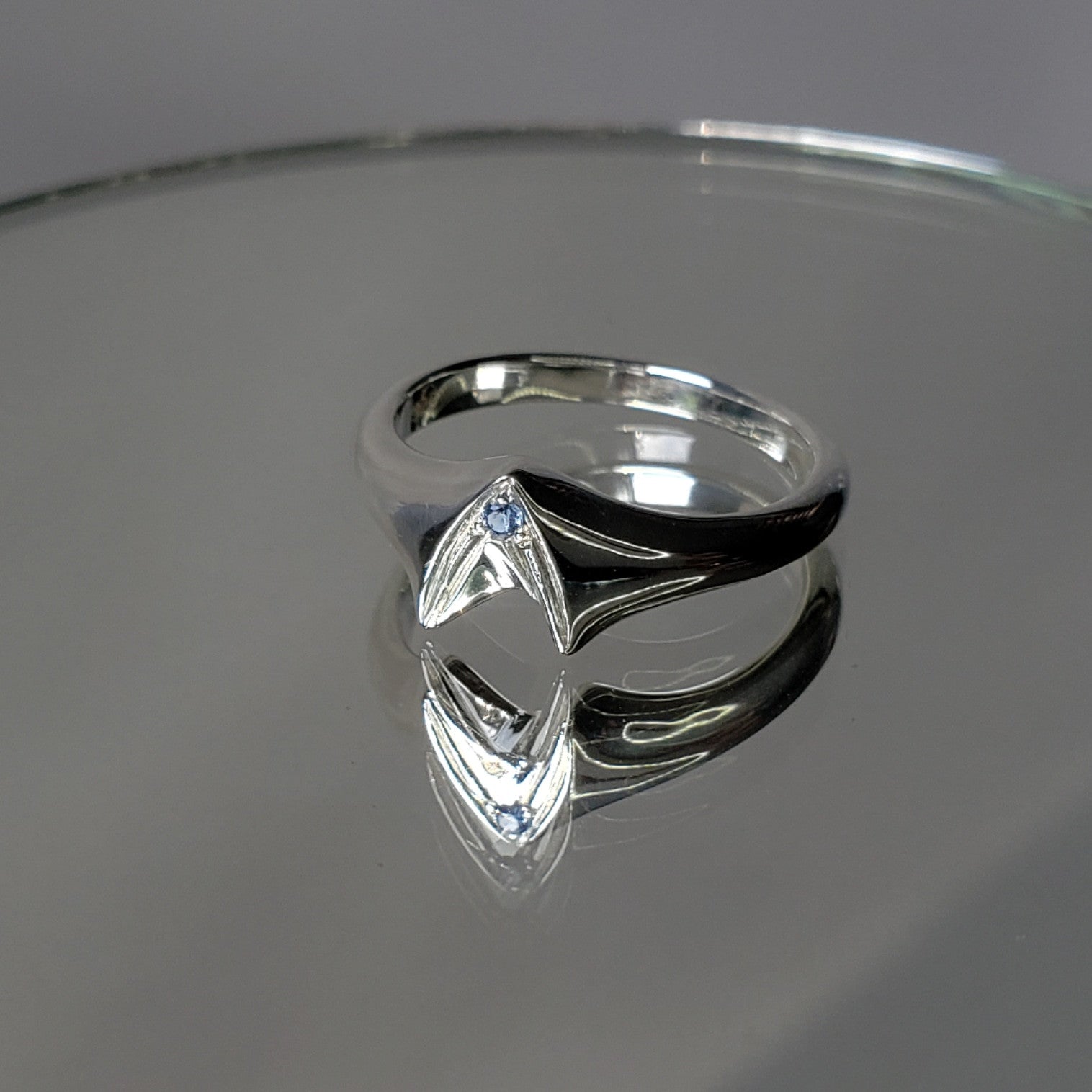 Frontier Signet Ring