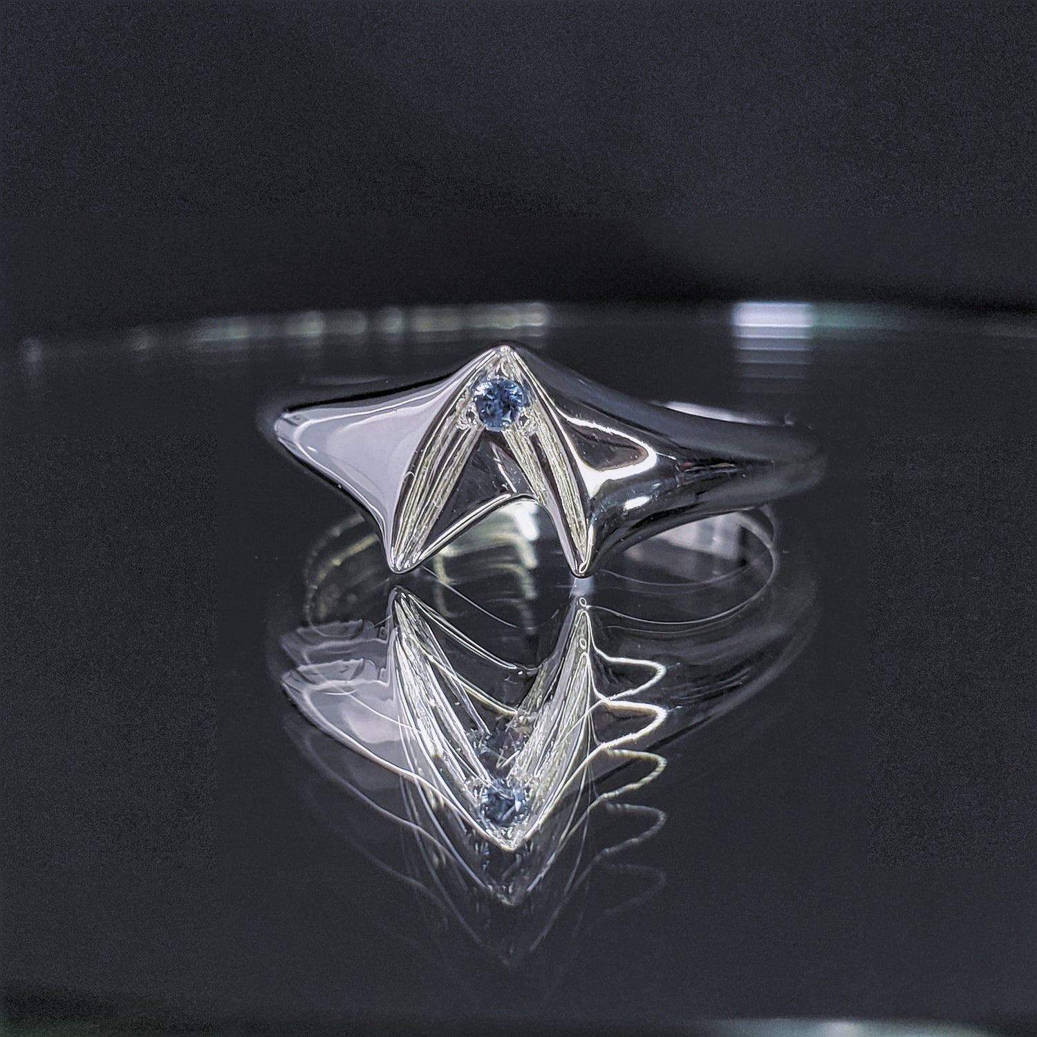 Frontier Signet Ring