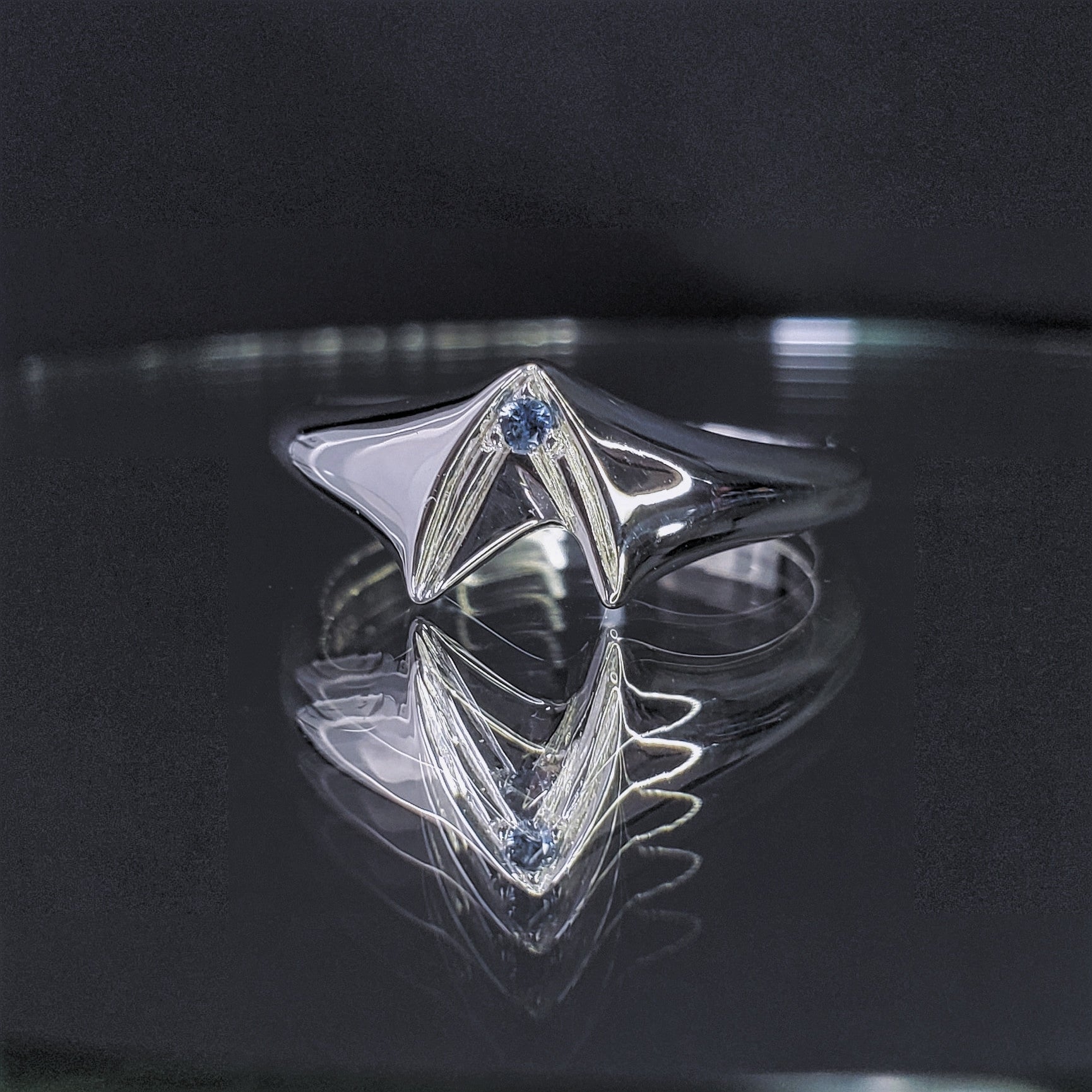 Frontier Signet Ring