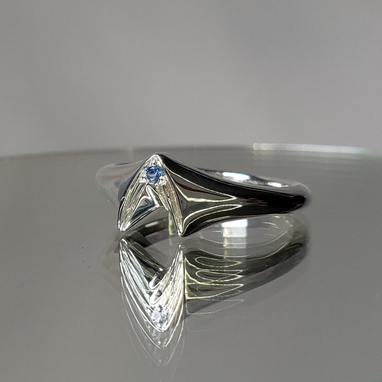 Frontier Signet Ring
