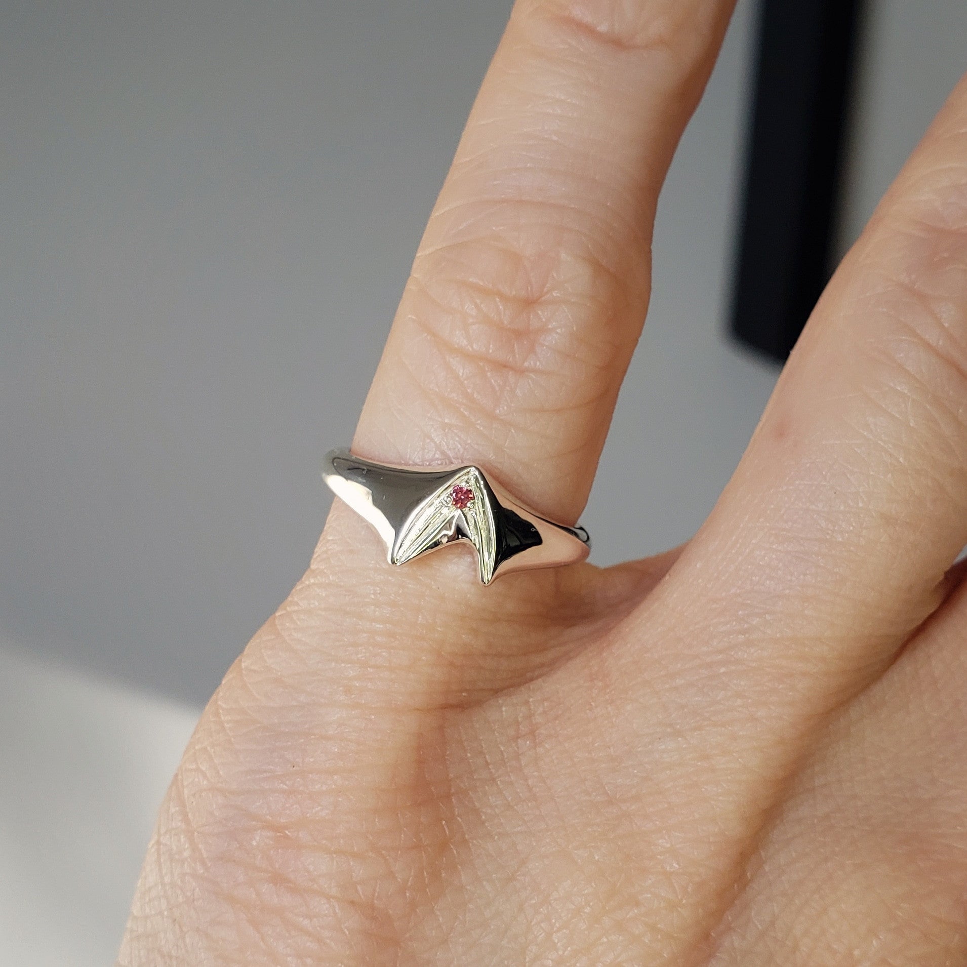 Frontier Signet Ring
