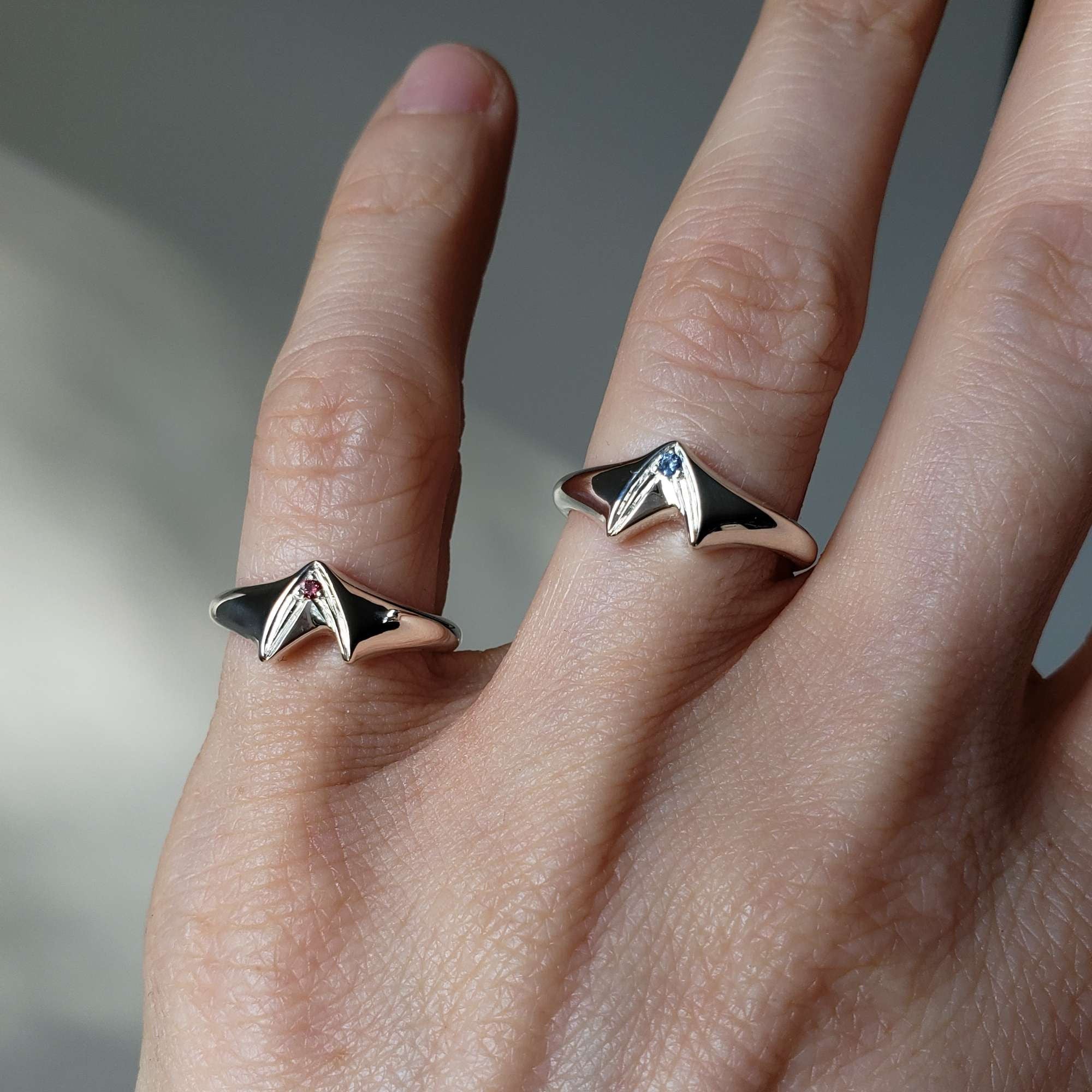 Frontier Signet Ring