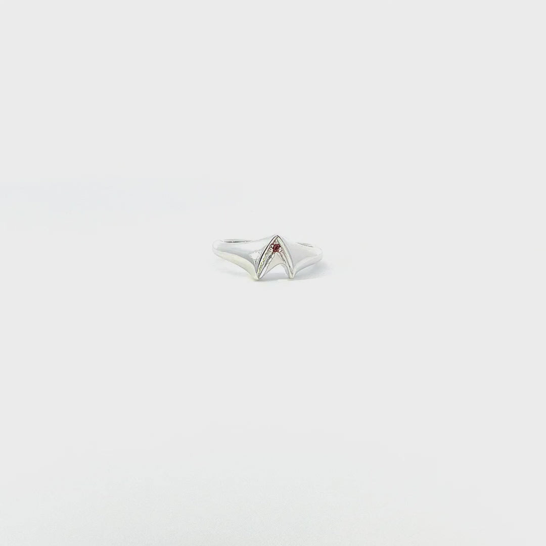 Frontier Signet Ring