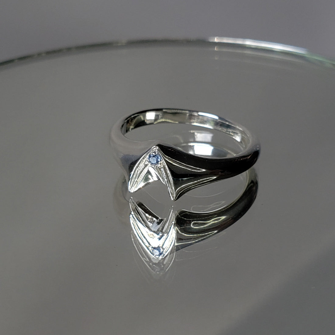 Frontier Signet Ring